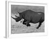 Black Rhinoceros, Running, Namibia-Tony Heald-Framed Photographic Print