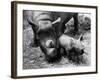 Black Rhinoceros with Her Baby-null-Framed Photographic Print