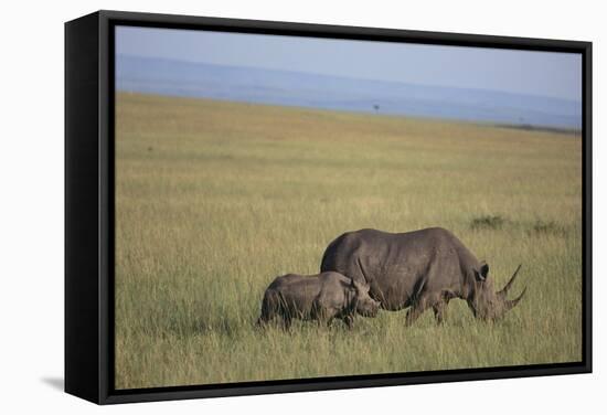 Black Rhinoceros-DLILLC-Framed Stretched Canvas