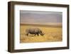 Black Rhinoceros-DLILLC-Framed Premium Photographic Print