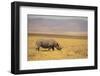 Black Rhinoceros-DLILLC-Framed Premium Photographic Print