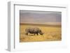 Black Rhinoceros-DLILLC-Framed Premium Photographic Print