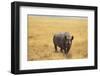 Black Rhinoceros-DLILLC-Framed Premium Photographic Print