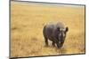 Black Rhinoceros-DLILLC-Mounted Premium Photographic Print