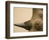 Black Rhinoceros-Henry Horenstein-Framed Photographic Print