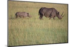 Black Rhinoceros-DLILLC-Mounted Photographic Print