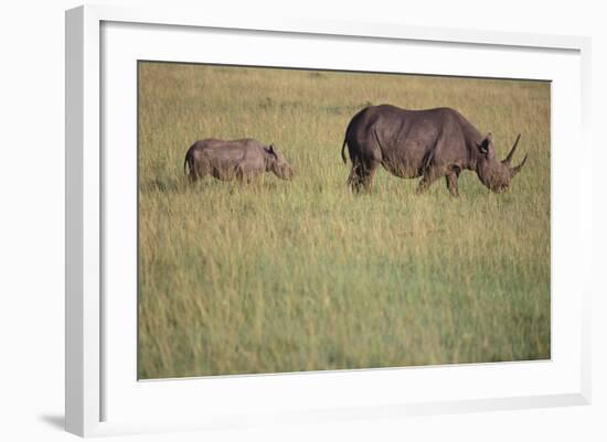 Black Rhinoceros-DLILLC-Framed Photographic Print