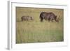 Black Rhinoceros-DLILLC-Framed Photographic Print