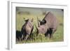 Black Rhinoceros-DLILLC-Framed Photographic Print