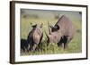 Black Rhinoceros-DLILLC-Framed Photographic Print