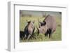 Black Rhinoceros-DLILLC-Framed Photographic Print