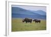 Black Rhinoceros-DLILLC-Framed Photographic Print