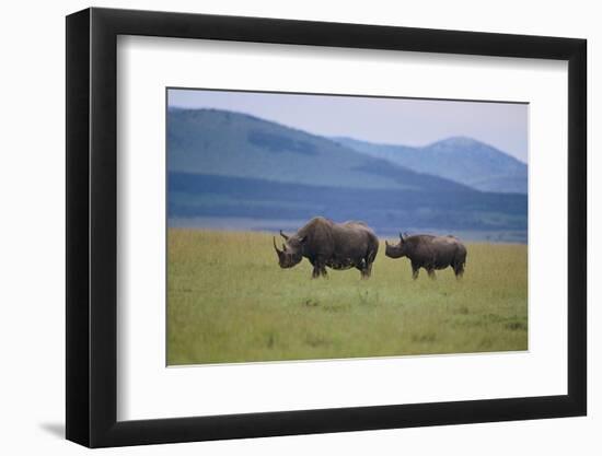 Black Rhinoceros-DLILLC-Framed Photographic Print