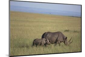 Black Rhinoceros-DLILLC-Mounted Photographic Print