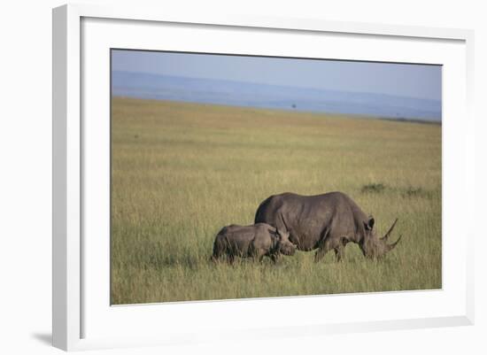 Black Rhinoceros-DLILLC-Framed Photographic Print