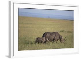 Black Rhinoceros-DLILLC-Framed Photographic Print