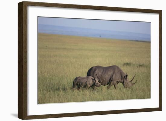 Black Rhinoceros-DLILLC-Framed Photographic Print