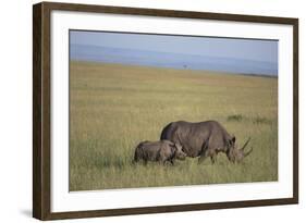 Black Rhinoceros-DLILLC-Framed Photographic Print