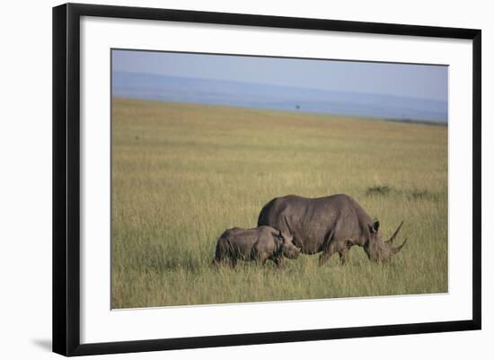 Black Rhinoceros-DLILLC-Framed Photographic Print