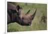 Black Rhinoceros-DLILLC-Framed Photographic Print