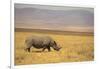 Black Rhinoceros-DLILLC-Framed Photographic Print