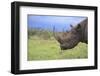 Black Rhinoceros-DLILLC-Framed Photographic Print