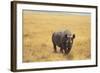 Black Rhinoceros-DLILLC-Framed Photographic Print