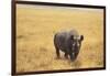 Black Rhinoceros-DLILLC-Framed Photographic Print