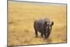 Black Rhinoceros-DLILLC-Mounted Photographic Print