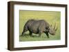 Black Rhinoceros-DLILLC-Framed Photographic Print