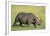 Black Rhinoceros-DLILLC-Framed Photographic Print