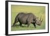 Black Rhinoceros-DLILLC-Framed Photographic Print