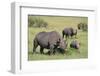 Black Rhinoceros-DLILLC-Framed Photographic Print