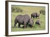 Black Rhinoceros-DLILLC-Framed Photographic Print