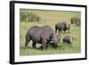 Black Rhinoceros-DLILLC-Framed Photographic Print