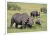 Black Rhinoceros-DLILLC-Framed Photographic Print