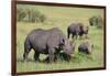 Black Rhinoceros-DLILLC-Framed Photographic Print