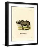 Black Rhinoceros-null-Framed Giclee Print