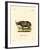 Black Rhinoceros-null-Framed Giclee Print