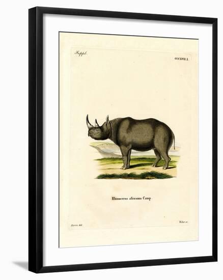 Black Rhinoceros-null-Framed Giclee Print