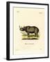 Black Rhinoceros-null-Framed Giclee Print