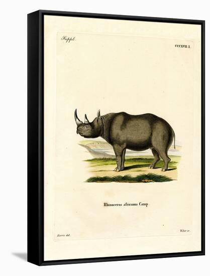 Black Rhinoceros-null-Framed Stretched Canvas