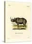 Black Rhinoceros-null-Stretched Canvas