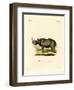 Black Rhinoceros-null-Framed Giclee Print