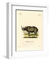 Black Rhinoceros-null-Framed Giclee Print