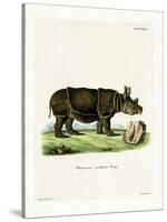 Black Rhinoceros-null-Stretched Canvas