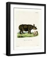 Black Rhinoceros-null-Framed Giclee Print