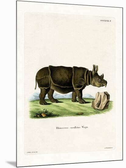 Black Rhinoceros-null-Mounted Giclee Print