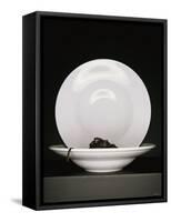 Black Ribbon Pasta with Two White Pasta Plates-Jan-peter Westermann-Framed Stretched Canvas