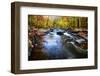 Black River Gorge Fall Scenic New Jersey-George Oze-Framed Photographic Print